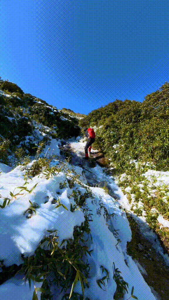 屋久島旅行で撮影した当時の写真