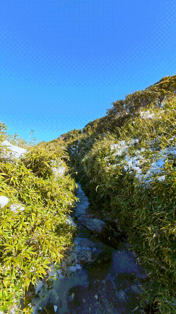 屋久島旅行で撮影した当時の写真